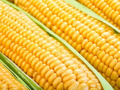 cobs-of-corn.jpg