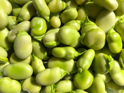 organic-broad-beans.jpg